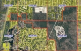886+- acres at 12353 Star Road Brooksville, FL 34613 - Image 58658