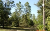 Lake Wood Ranches Parcel 111 (Apn# Eustis, FL 32736 - Image 1015695