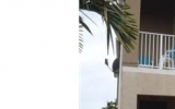 5768 HAMPTON HILLS BL # 4202 Fort Lauderdale, FL 33321 - Image 7776419