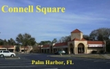 38501 US Hwy 19 Palm Harbor, FL 34684 - Image 30724