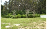 2647 Narnia Way Land O Lakes, FL 34638 - Image 59483