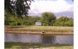 Between Shetland Lane & Pinto Lane Fort Myers, FL 33912 - Image 72731