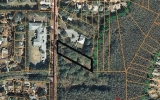 12601 Henderson Road Tampa, FL 33625 - Image 112439