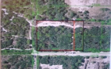 UTICA DRIVE Hudson, FL 34667 - Image 116126