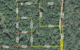 Bee Tree Rd Inglis, FL 34449 - Image 202759