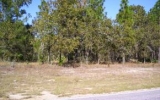 9781 North Athenia Drive Dunnellon, FL 34434 - Image 254640