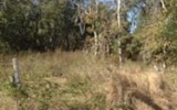 E 1/2 Tract 17 Unrecorded Plat Of S Wimauma, FL 33598 - Image 961773