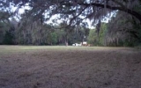 3310 MELLONVILLE AVE Sanford, FL 32773 - Image 2499954