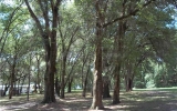 0 SHASTA Dade City, FL 33523 - Image 3511205
