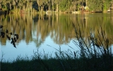 20935 no name Land O Lakes, FL 34638 - Image 3513554