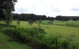 Spring Valley RD Dade City, FL 33523 - Image 3620014