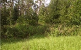 Ruffing Road Dade City, FL 33523 - Image 3620024