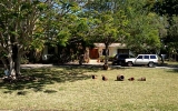 6255 SW 132 ST Miami, FL 33156 - Image 3772249