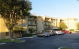 10431 N Kendall Dr Apt D111 Miami, FL 33176 - Image 4063638
