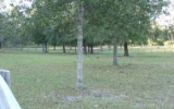 NE HWY 337 Bronson, FL 32621 - Image 4103523