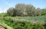 154 Power Line Road East Palatka, FL 32131 - Image 4249185
