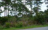 3735 Sparrow Hawk Trl Mims, FL 32754 - Image 4367647