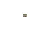 707 NW 10TH CT Hallandale, FL 33009 - Image 4955641