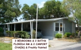 795 County Rd 1 Palm Harbor, FL 34683 - Image 6037911