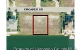 3432 CROAKER DR Spring Hill, FL 34607 - Image 6436499