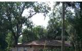 459 N SEARCY AVE Bartow, FL 33830 - Image 6575689