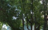 790 LONDON BRIDGE 314 Winter Garden, FL 34787 - Image 6597698
