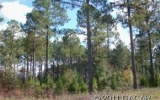 00 NW 278 Avenue Alachua, FL 32615 - Image 7314488