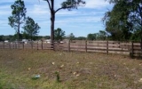 O SE CR 326 Morriston, FL 32668 - Image 7387347