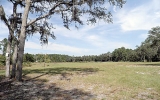 111 Rose Walk Lane Georgetown, FL 32139 - Image 7449114