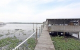 113 DRIFTWOOD LN Georgetown, FL 32139 - Image 7449118