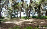 723 Harris Fish Camp RD Georgetown, FL 32139 - Image 7449120