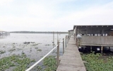 113 DRIFTWOOD LN Georgetown, FL 32139 - Image 7449107