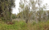 21143 SKI WAY Land O Lakes, FL 34638 - Image 7451271