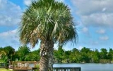 1581 Sea Gull Drive Titusville, FL 32796 - Image 7452435
