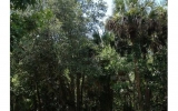 1350 Palm Way Sanford, FL 32773 - Image 7521521