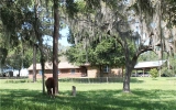 14731 SWIFT RD Dade City, FL 33525 - Image 7606649
