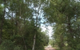 1582 Crandall Lane Middleburg, FL 32068 - Image 7748970
