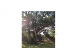 0 Atwater Ave Eustis, FL 32726 - Image 7827997