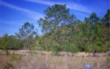 0 SE 57 Court Trenton, FL 32693 - Image 7830634