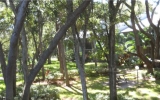 110 11800 PARK BLVD Seminole, FL 33772 - Image 7846284