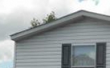1072 Timberline Road Apopka, FL 32703 - Image 7851422