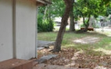 469 Sunset Dr Key Largo, FL 33037 - Image 7934765