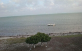 1175 Longbeach Dr Big Pine Key, FL 33043 - Image 7978180