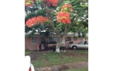 16404 SW 99 CT Miami, FL 33157 - Image 8188353