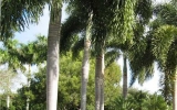 2809 KINSINGTON CIR # 12-2 Fort Lauderdale, FL 33332 - Image 8190462