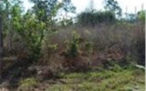 912 Roosevelt Ave Lehigh Acres, FL 33972 - Image 8200944