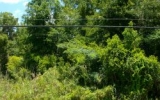 1330 NW 1st Avenue High Springs, FL 32643 - Image 8313437