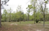 5490 NE 116th Avenue Bronson, FL 32621 - Image 8317823