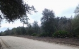 0 NE 86 Lane Bronson, FL 32621 - Image 8317816