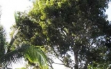 3140 FAIRWAYS DRIVE Homestead, FL 33035 - Image 8397891